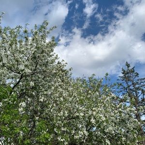 Meet your Posher, Catherine